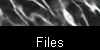  Files 